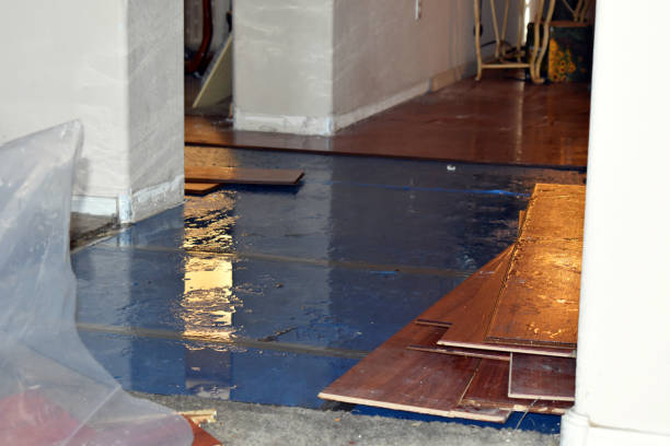 Professional Water Damage Restoration technician working in Tobaccoville, NC